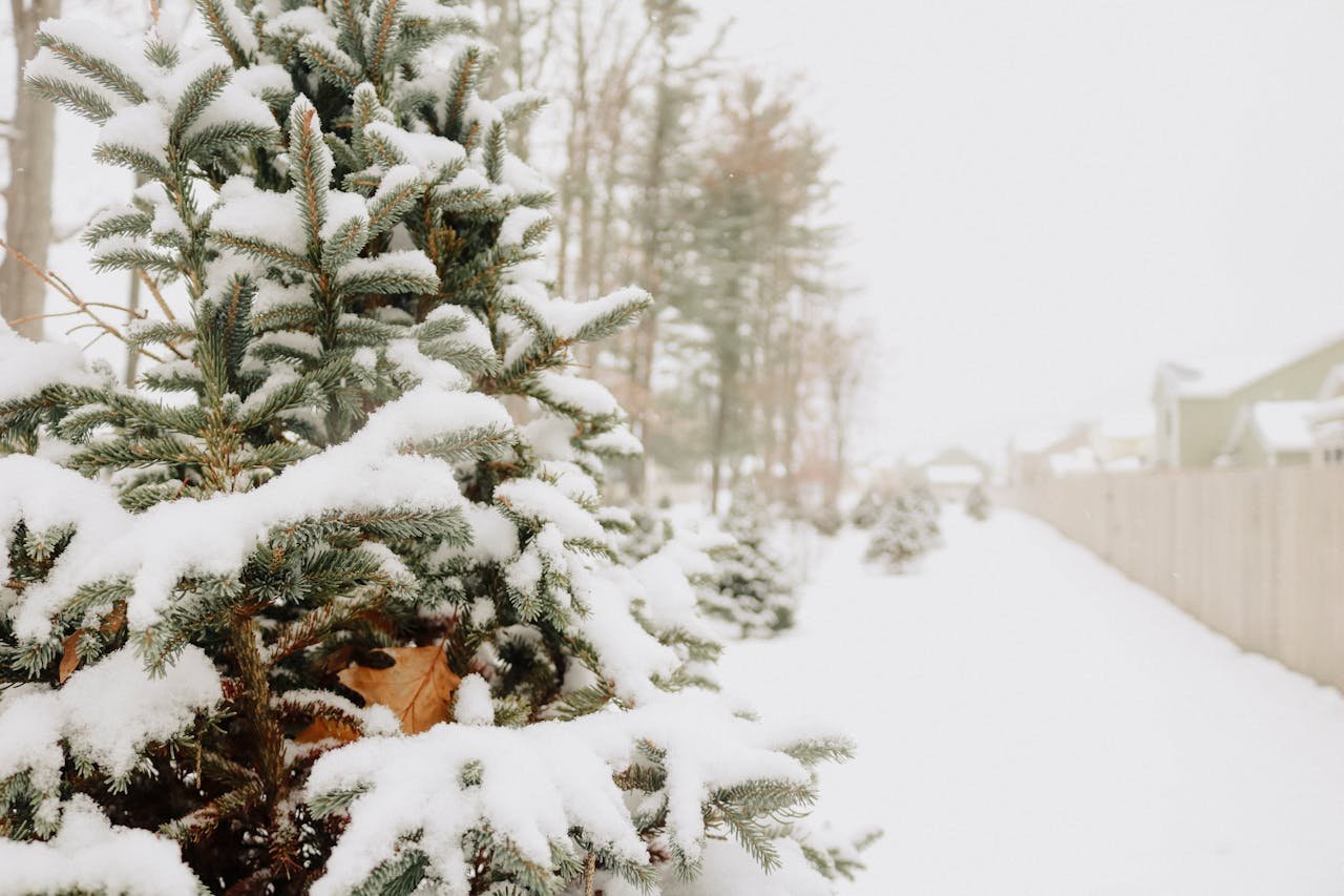 NYC in Winter