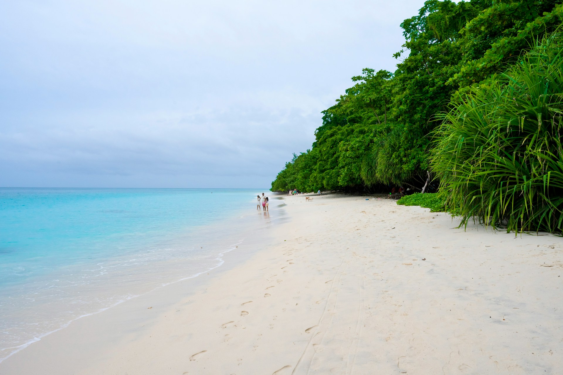 Beaches
