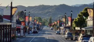 Townsizing Is the Future